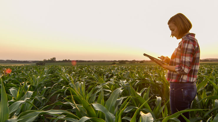 Crop and Livestock Land Use Analyzer